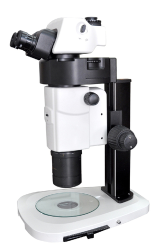 Motorized Stereo Microscopes
