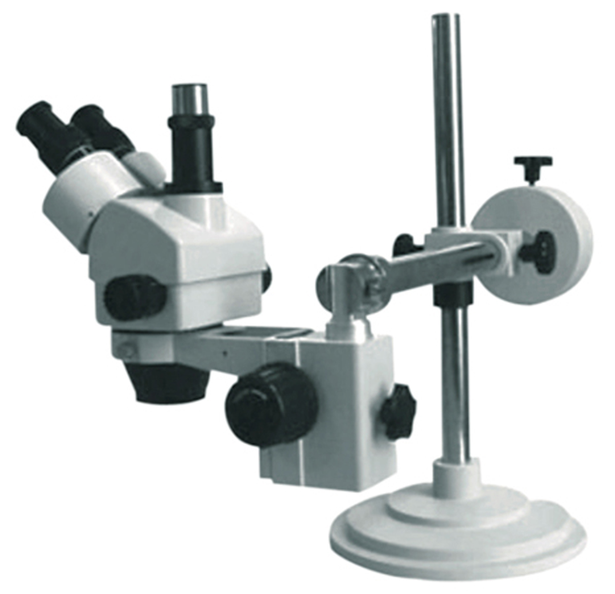 Trinocular Microscope